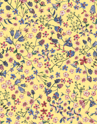 Donna Leigh B - Organic - Liberty Tana Lawn - Ava & Neve